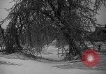 Image of damage from sleet Duluth Minnesota USA, 1935, second 14 stock footage video 65675051631