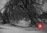 Image of damage from sleet Duluth Minnesota USA, 1935, second 15 stock footage video 65675051631