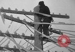 Image of damage from sleet Duluth Minnesota USA, 1935, second 32 stock footage video 65675051631