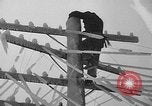 Image of damage from sleet Duluth Minnesota USA, 1935, second 33 stock footage video 65675051631