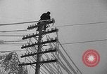 Image of damage from sleet Duluth Minnesota USA, 1935, second 35 stock footage video 65675051631