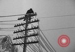 Image of damage from sleet Duluth Minnesota USA, 1935, second 36 stock footage video 65675051631
