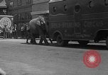 Image of Seils-Sterling Circus animal auditions Mount Vernon Missouri USA, 1935, second 11 stock footage video 65675051633