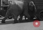 Image of Seils-Sterling Circus animal auditions Mount Vernon Missouri USA, 1935, second 21 stock footage video 65675051633