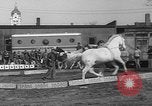 Image of Seils-Sterling Circus animal auditions Mount Vernon Missouri USA, 1935, second 26 stock footage video 65675051633