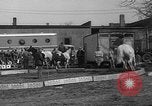 Image of Seils-Sterling Circus animal auditions Mount Vernon Missouri USA, 1935, second 27 stock footage video 65675051633