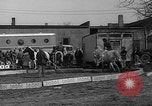 Image of Seils-Sterling Circus animal auditions Mount Vernon Missouri USA, 1935, second 28 stock footage video 65675051633