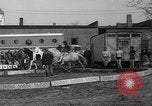 Image of Seils-Sterling Circus animal auditions Mount Vernon Missouri USA, 1935, second 29 stock footage video 65675051633