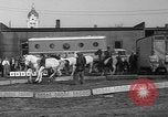 Image of Seils-Sterling Circus animal auditions Mount Vernon Missouri USA, 1935, second 30 stock footage video 65675051633