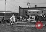Image of Seils-Sterling Circus animal auditions Mount Vernon Missouri USA, 1935, second 32 stock footage video 65675051633
