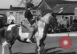 Image of Seils-Sterling Circus animal auditions Mount Vernon Missouri USA, 1935, second 40 stock footage video 65675051633