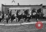 Image of Seils-Sterling Circus animal auditions Mount Vernon Missouri USA, 1935, second 47 stock footage video 65675051633