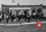 Image of Seils-Sterling Circus animal auditions Mount Vernon Missouri USA, 1935, second 48 stock footage video 65675051633
