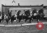 Image of Seils-Sterling Circus animal auditions Mount Vernon Missouri USA, 1935, second 50 stock footage video 65675051633