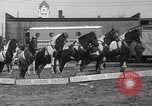 Image of Seils-Sterling Circus animal auditions Mount Vernon Missouri USA, 1935, second 51 stock footage video 65675051633