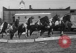 Image of Seils-Sterling Circus animal auditions Mount Vernon Missouri USA, 1935, second 52 stock footage video 65675051633