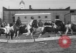 Image of Seils-Sterling Circus animal auditions Mount Vernon Missouri USA, 1935, second 55 stock footage video 65675051633