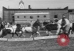 Image of Seils-Sterling Circus animal auditions Mount Vernon Missouri USA, 1935, second 56 stock footage video 65675051633