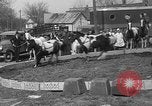 Image of Seils-Sterling Circus animal auditions Mount Vernon Missouri USA, 1935, second 57 stock footage video 65675051633