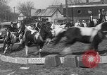 Image of Seils-Sterling Circus animal auditions Mount Vernon Missouri USA, 1935, second 59 stock footage video 65675051633