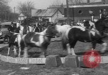 Image of Seils-Sterling Circus animal auditions Mount Vernon Missouri USA, 1935, second 60 stock footage video 65675051633