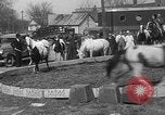 Image of Seils-Sterling Circus animal auditions Mount Vernon Missouri USA, 1935, second 62 stock footage video 65675051633