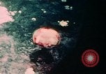 Image of Nagasaki atomic bomb explosion Nagasaki Japan, 1945, second 17 stock footage video 65675051634