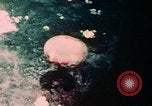 Image of Nagasaki atomic bomb explosion Nagasaki Japan, 1945, second 18 stock footage video 65675051634