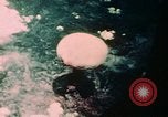 Image of Nagasaki atomic bomb explosion Nagasaki Japan, 1945, second 19 stock footage video 65675051634