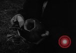 Image Whittaker Chambers documents de citrouille Washington DC USA, 1948, de la seconde 42 séquences d'archives historiques vidéo 65675051639