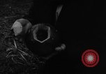 Image Whittaker Chambers documents de citrouille Washington DC USA, 1948, de la seconde 44 séquences d'archives historiques vidéo 65675051639