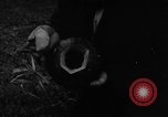 Image Whittaker Chambers documents de citrouille Washington DC USA, 1948, de la seconde 45 séquences d'archives historiques vidéo 65675051639