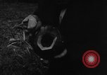 Image Whittaker Chambers documents de citrouille Washington DC USA, 1948, de la seconde 46 séquences d'archives historiques vidéo 65675051639