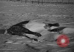 Image of natural and man made disasters in 1949 United States USA, 1949, second 34 stock footage video 65675051642