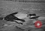 Image of natural and man made disasters in 1949 United States USA, 1949, second 35 stock footage video 65675051642