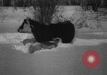 Image of natural and man made disasters in 1949 United States USA, 1949, second 41 stock footage video 65675051642