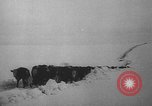 Image of natural and man made disasters in 1949 United States USA, 1949, second 53 stock footage video 65675051642