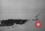 Image of natural and man made disasters in 1949 United States USA, 1949, second 55 stock footage video 65675051642