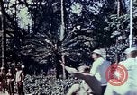 Image of Victory over Japan day Honolulu Hawaii USA, 1945, second 49 stock footage video 65675051646