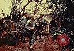 Standbild United States Marine Corps Okinawa Ryukyu Inseln, 1945, aus Sekunde 42 historischem Filmmaterial Videoclip 65675051653