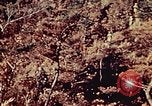 Standbild United States Marine Corps Okinawa Ryukyu Inseln, 1945, aus Sekunde 37 historischem Filmmaterial Videoclip 65675051654