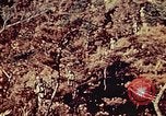 Standbild United States Marine Corps Okinawa Ryukyu Inseln, 1945, aus Sekunde 38 historischem Filmmaterial Videoclip 65675051654