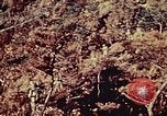 Standbild United States Marine Corps Okinawa Ryukyu Inseln, 1945, aus Sekunde 39 historischem Filmmaterial Videoclip 65675051654
