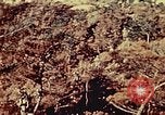 Standbild United States Marine Corps Okinawa Ryukyu Inseln, 1945, aus Sekunde 41 historischem Filmmaterial Videoclip 65675051654