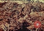Standbild United States Marine Corps Okinawa Ryukyu Inseln, 1945, aus Sekunde 42 historischem Filmmaterial Videoclip 65675051654
