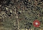 Standbild United States Marine Corps Okinawa Ryukyu Inseln, 1945, aus Sekunde 51 historischem Filmmaterial Videoclip 65675051654