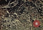 Standbild United States Marine Corps Okinawa Ryukyu Inseln, 1945, aus Sekunde 52 historischem Filmmaterial Videoclip 65675051654