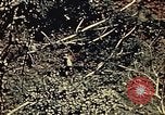 Standbild United States Marine Corps Okinawa Ryukyu Inseln, 1945, aus Sekunde 53 historischem Filmmaterial Videoclip 65675051654