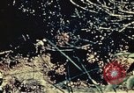 Standbild United States Marine Corps Okinawa Ryukyu Inseln, 1945, aus Sekunde 56 historischem Filmmaterial Videoclip 65675051654