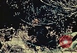 Standbild United States Marine Corps Okinawa Ryukyu Inseln, 1945, aus Sekunde 57 historischem Filmmaterial Videoclip 65675051654
